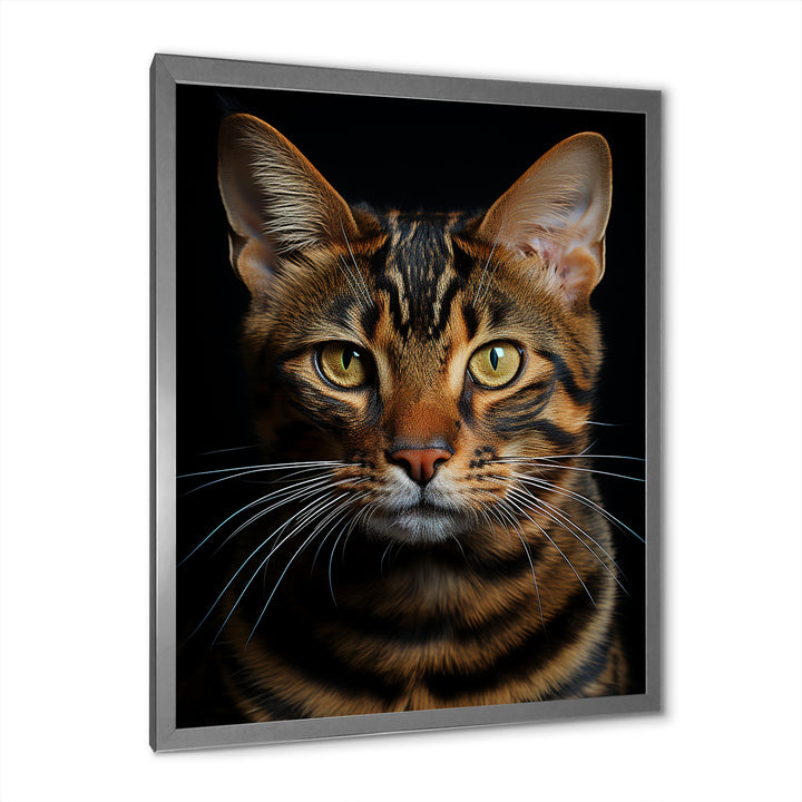 Cat Toyger Tigress Portrait - Brown Cat Wall Art