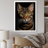 Cat Toyger Tigress Portrait - Brown Cat Wall Art