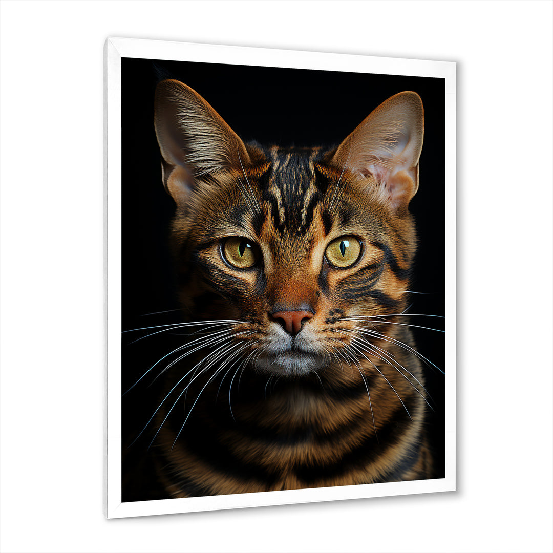 Cat Toyger Tigress Portrait - Brown Cat Wall Art