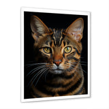 Cat Toyger Tigress Portrait - Brown Cat Wall Art