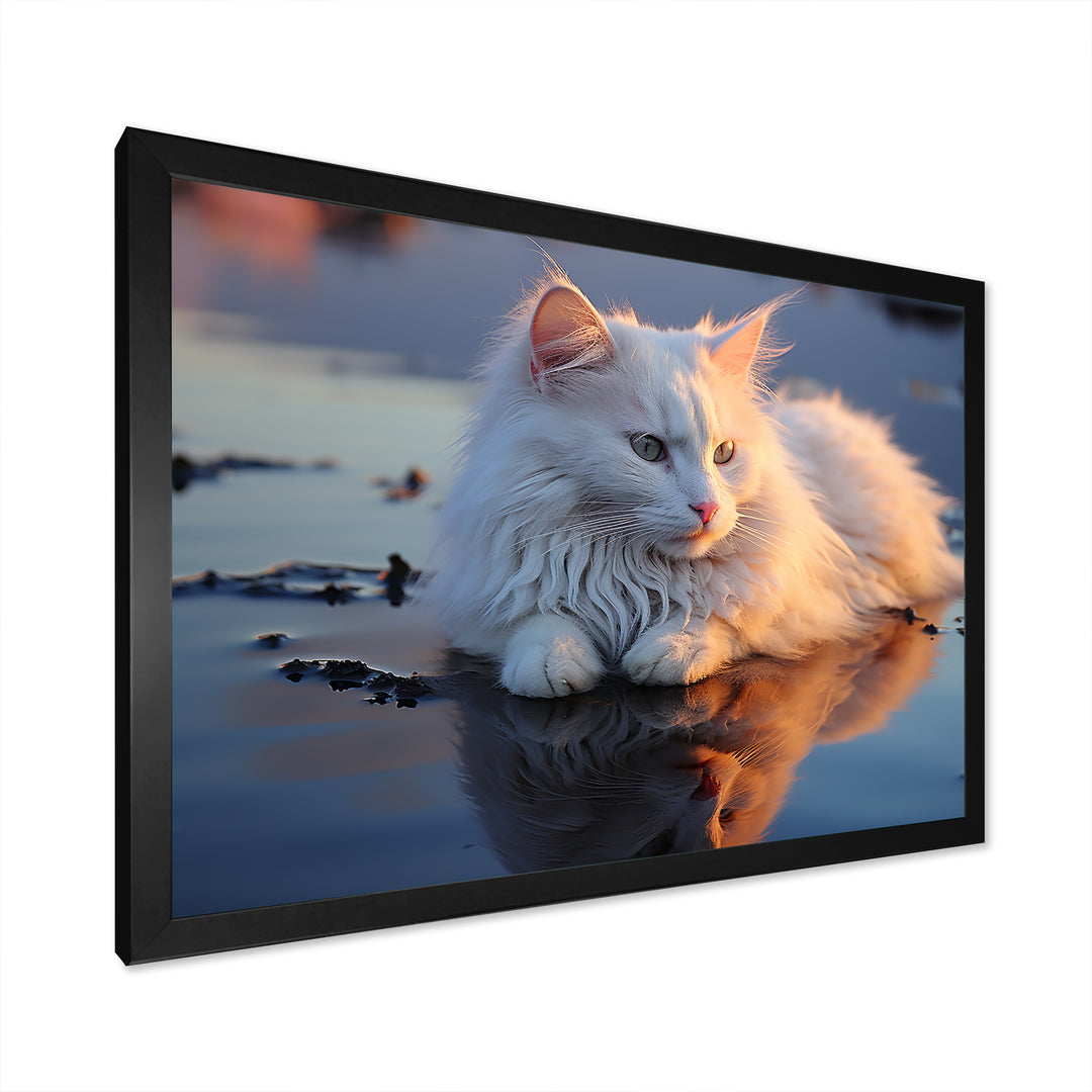 Cat Tranquility On Beach - Cat Framed Canvas Art