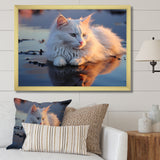 Cat Tranquility On Beach - Cat Framed Canvas Art