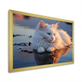 Cat Tranquility On Beach - Cat Framed Canvas Art