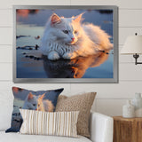 Cat Tranquility On Beach - Cat Framed Canvas Art