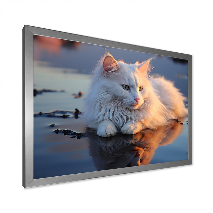 Cat Tranquility On Beach - Cat Framed Canvas Art