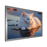 Cat Tranquility On Beach - Cat Framed Canvas Art