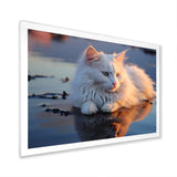 Cat Tranquility On Beach - Cat Framed Canvas Art