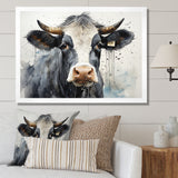 Handsome Black Adn White Cattle Portrait - Cattle Bedroom Wall Art