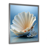 Monochromatic Misty Grey Clam - Gray Clam Wall Art