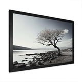 Beautiful Tree Black And White Lake Photography - Cottage Canvas Wall Art