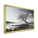 Beautiful Tree Black And White Lake Photography - Cottage Canvas Wall Art