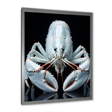 Modern Black And Blue Crayfish - Crayfish Wall Art Prints