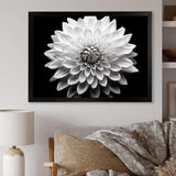 Dahlia In Monochrome Black And White - Floral Canvas Wall Art