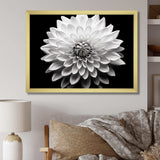 Dahlia In Monochrome Black And White - Floral Canvas Wall Art