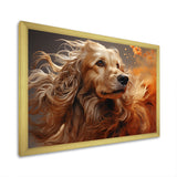 Dog Afghan Hound Air - Dog Bedroom Wall Art
