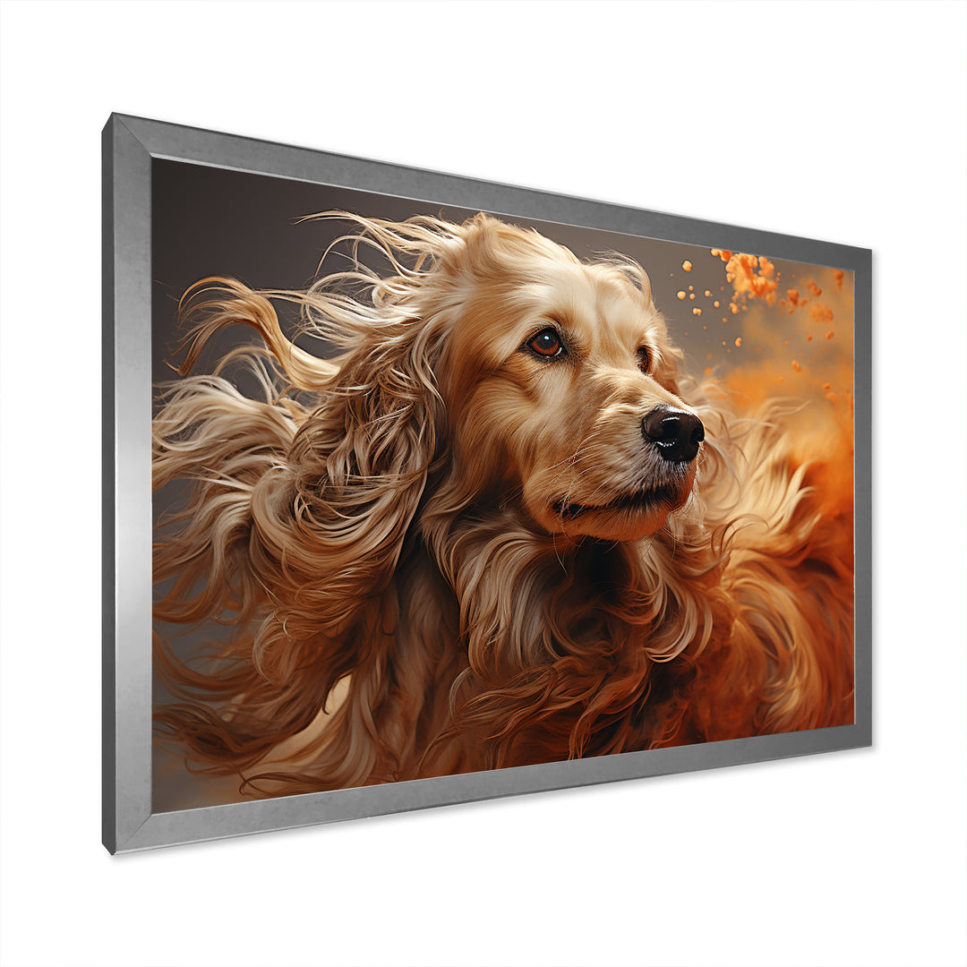 Dog Afghan Hound Air - Dog Bedroom Wall Art