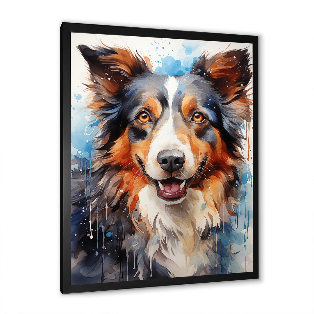 Border Collie Brilliance - Dog Bedroom Wall Art