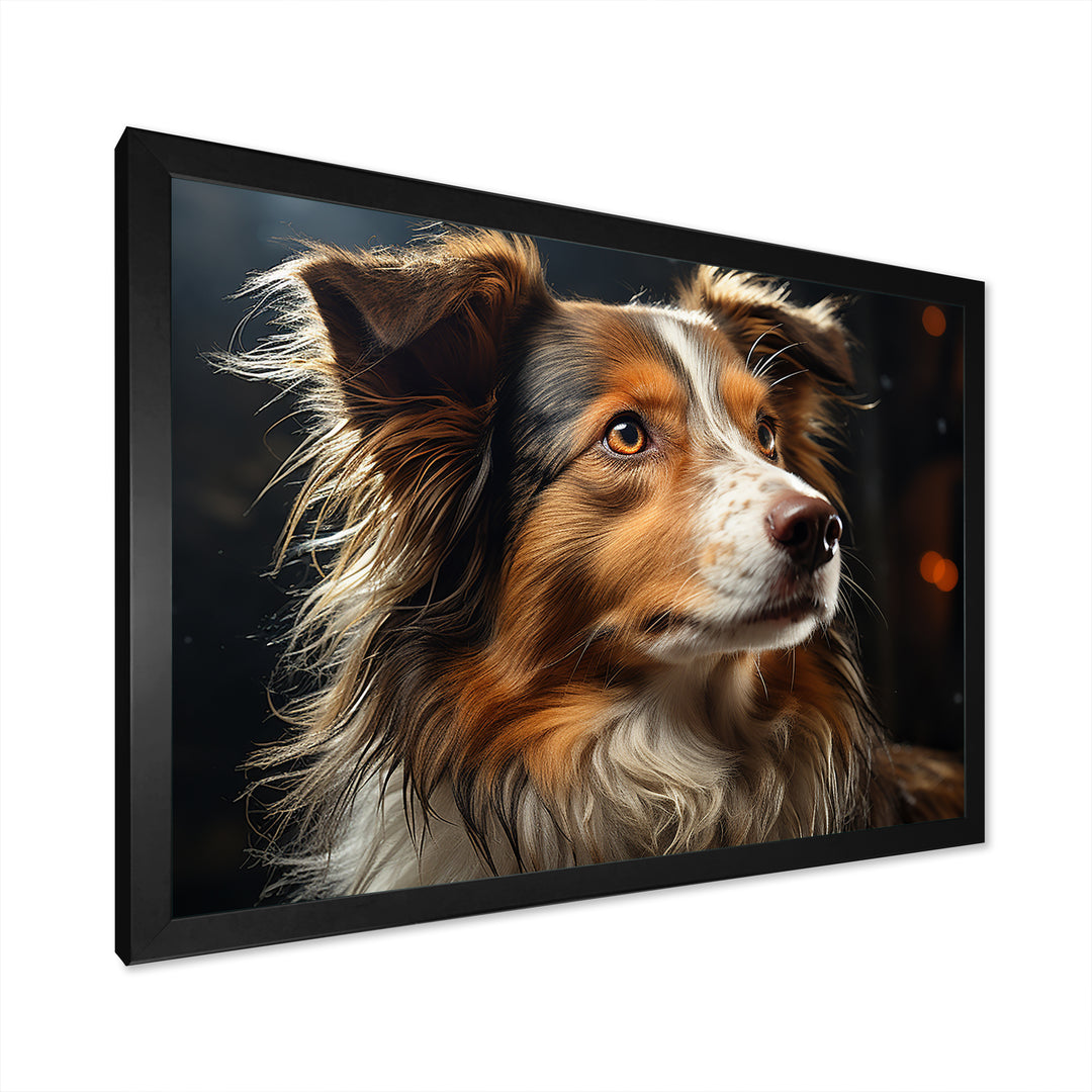 Collie Contemplation - Dog Wall Decor