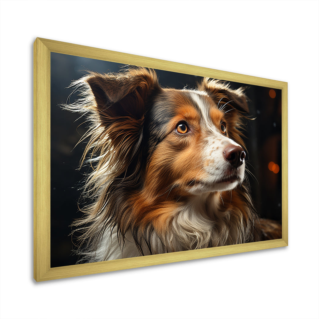 Collie Contemplation - Dog Wall Decor
