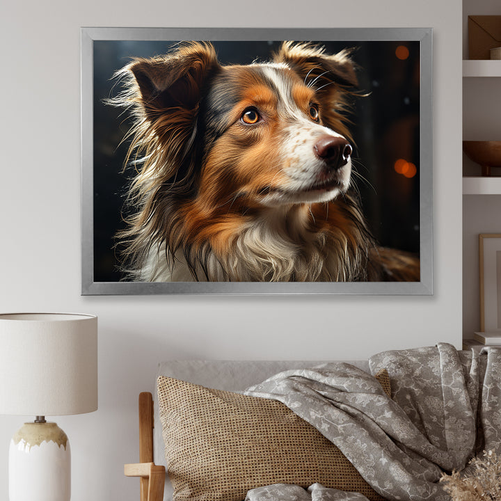 Collie Contemplation - Dog Wall Decor