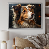 Collie Contemplation - Dog Wall Decor