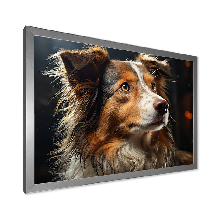 Collie Contemplation - Dog Wall Decor