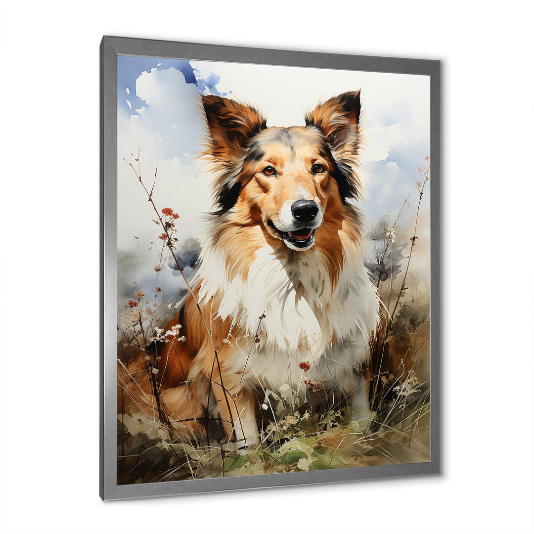Collie Countryside - Dog Wall Art Prints
