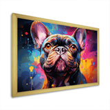 Dog French Bulldog Fiesta IV - Animals Canvas Wall Art