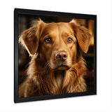 Dog Golden Grace - Brown Dog Wall Art