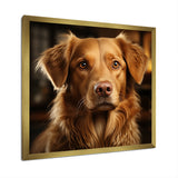 Dog Golden Grace - Brown Dog Wall Art