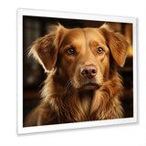 Dog Golden Grace - Brown Dog Wall Art