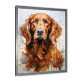 Dog Irish Setter Impressions - Dog Living Room Wall Art