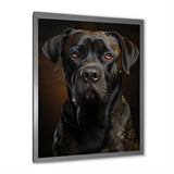 Dog Mastiff Majesty - Dog Wall Art Prints