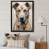 Belgian Malinois Handsome Portrait - Animals Canvas Wall Art