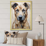 Belgian Malinois Handsome Portrait - Animals Canvas Wall Art