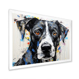 Braque Saint Germain Portrait - Dog Wall Art Prints