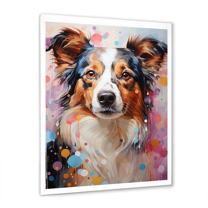 Playful Collie Portrait - White Dog Wall Art