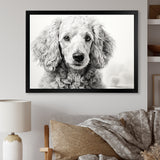 Poodle Pizazz - Dog Wall Art Prints