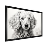 Poodle Pizazz - Dog Wall Art Prints