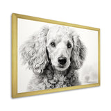 Poodle Pizazz - Dog Wall Art Prints