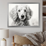 Poodle Pizazz - Dog Wall Art Prints