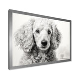 Poodle Pizazz - Dog Wall Art Prints