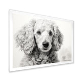 Poodle Pizazz - Dog Wall Art Prints