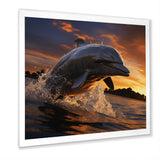 Dolphin Sunlit Silhouettes - Dolphin Home Decor Art