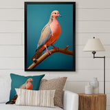 Coral Companion Dove - Coral Dove Wall Art