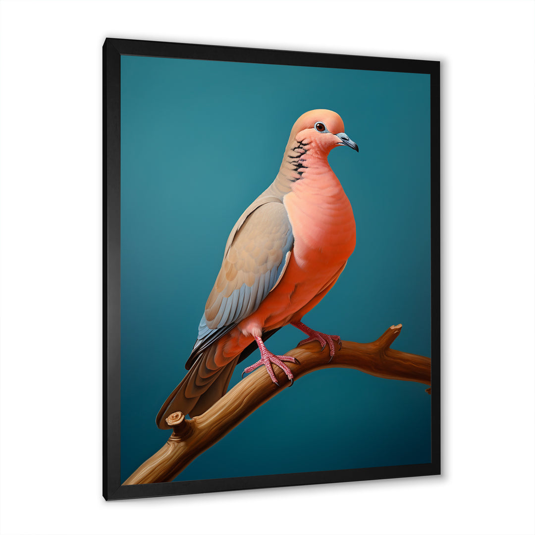 Coral Companion Dove - Coral Dove Wall Art