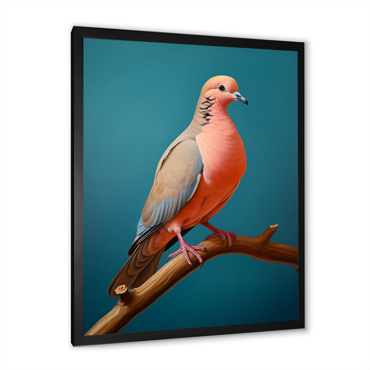 Coral Companion Dove - Coral Dove Wall Art