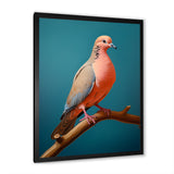 Coral Companion Dove - Coral Dove Wall Art