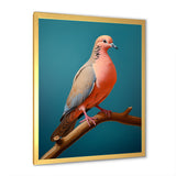 Coral Companion Dove - Coral Dove Wall Art