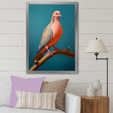 Coral Companion Dove - Coral Dove Wall Art